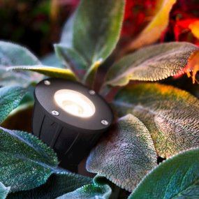 Luminius Tummanharmaa valmistajalta Lightson - Jos haluat valaista kapeaa ja tihe&auml;&auml; koristehein&auml;&auml; tai ruusupensasta sis&auml;lt&auml;p&auml;in, Luminus on my&ouml;s luonnollinen valinta.