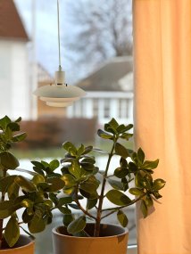 Epsilon Ø20 Beige ikkunavalaisin valmistajalta Aneta Lighting - 