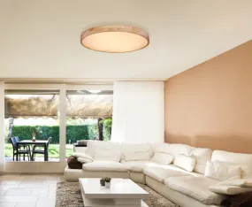 Rainer Ø80 Luonto plafondi valmistajalta Globo Lighting - Lampan har &auml;ven en f&auml;rgv&auml;xlingsfunktion med m&ouml;jlighet att fixera en vald f&auml;rg, vilket g&ouml;r den b&aring;de flexibel och funktionell.