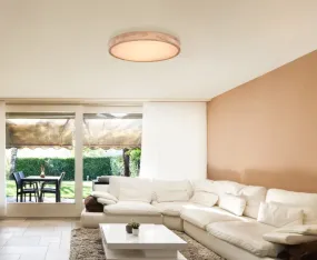 Rainer Ø60 Luonto plafondi valmistajalta Globo Lighting - Lampan har &auml;ven en f&auml;rgv&auml;xlingsfunktion med m&ouml;jlighet att fixera en vald f&auml;rg, vilket g&ouml;r den b&aring;de flexibel och funktionell.