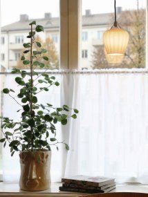 Amalfi Ø14 Aprikoosi ikkunavalaisin valmistajalta PR Home - Lämpimän aprikoosin sävyinen uurrettu lasi antaa valaisimelle pehmeän ja koristeellisen ilmeen, kun taas krominvärinen yksityiskohta luo elegantin kontrastin.