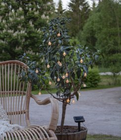 Globini Läpinäkyvä aurinkokennolamppu valmistajalta Star Trading - Aurinkoenergialla toimiva valonauha, jossa on pieniä läpinäkyviä palloja, joiden sisällä on ilmakuplia.