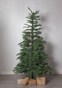 Edane 210cm Vihreä valmistajalta Star Trading - Edane on aito keinotekoinen puu, jonka korkeus on 210 cm ja hieman matalat riippuvat oksat syv&auml;n vihre&auml;ll&auml; v&auml;rill&auml;.