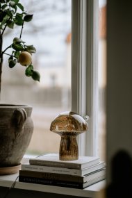 Fungo 20cm Ruskea pöytävalaisin valmistajalta Globen Lighting - Fungo-sienivalaisin on kaunis pöytävalaisin, joka on valmistettu suupuhalletusta lasista ja jonka jalassa on uurrettuja yksityiskohtia.
