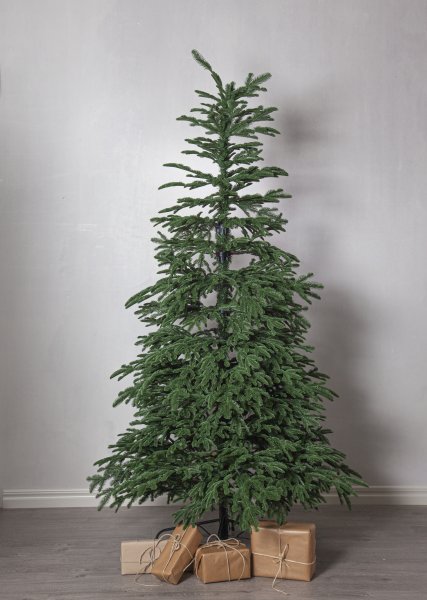Edane 210cm Vihreä valmistajalta Star Trading - Edane on aito keinotekoinen puu, jonka korkeus on 210 cm ja hieman matalat riippuvat oksat syv&auml;n vihre&auml;ll&auml; v&auml;rill&auml;.