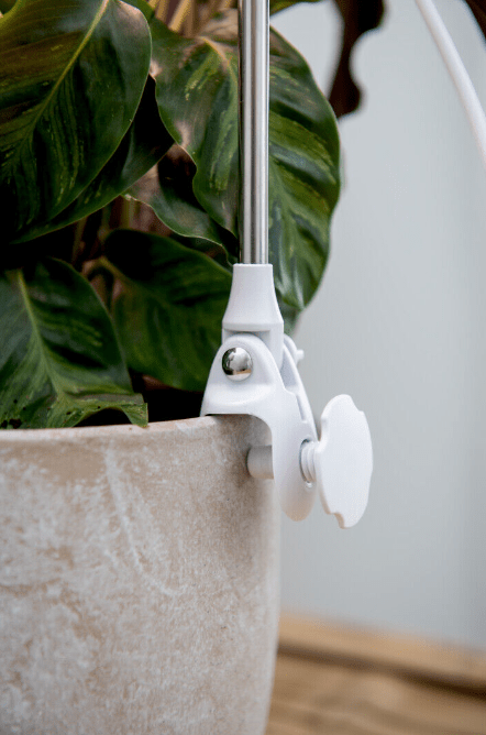 Kasvivalaisin Rose Valkoinen valmistajalta Airam - Pime&auml; pohjoismainen talvi voi olla haitallista ruukkukasveille.