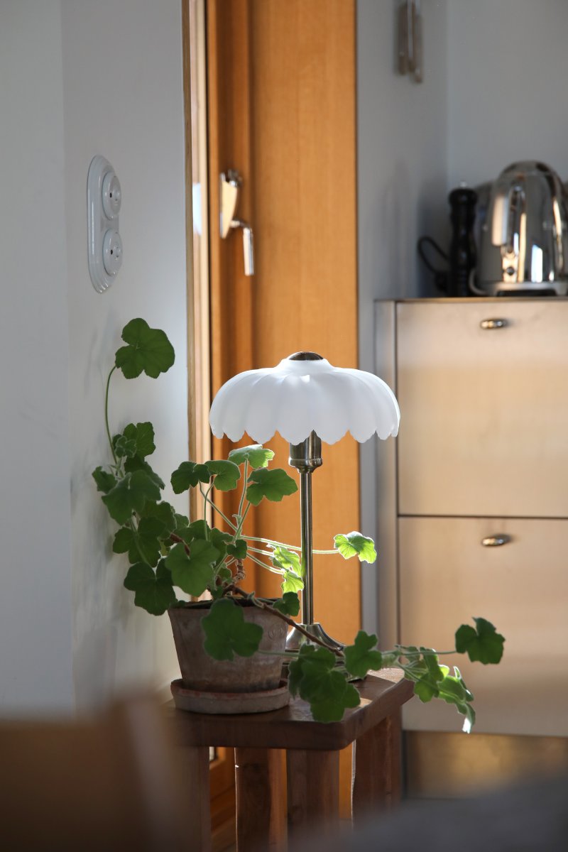 Kurage 43cm Antiikkimessinki/valkoinen pöytävalaisin valmistajalta Markslöjd - Klassisen tyylin p&ouml;yt&auml;valaisin, jossa on antiikkimessinkipintainen jalusta ja koristeellinen valkoinen opaalilasivarjostin.