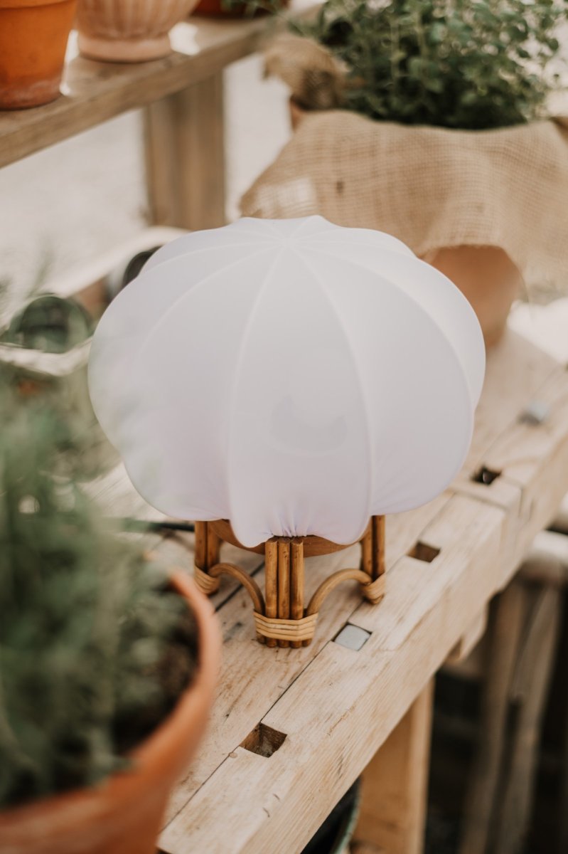 Fiji 26cm Luonto pöytävalaisin valmistajalta Globen Lighting - Näytössä on rengasjalusta, joka on tarkoitettu lamppukaapeleille, joissa on E27-kanta.