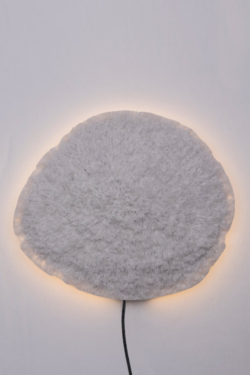 Nemo Valkoinen seinävalaisin valmistajalta Globen Lighting - Valaisin on valmistettu valkoisesta polyresiinistä ja hiekkakivestä ja siinä on 200 cm pitkä musta kaapeli kytkimellä.