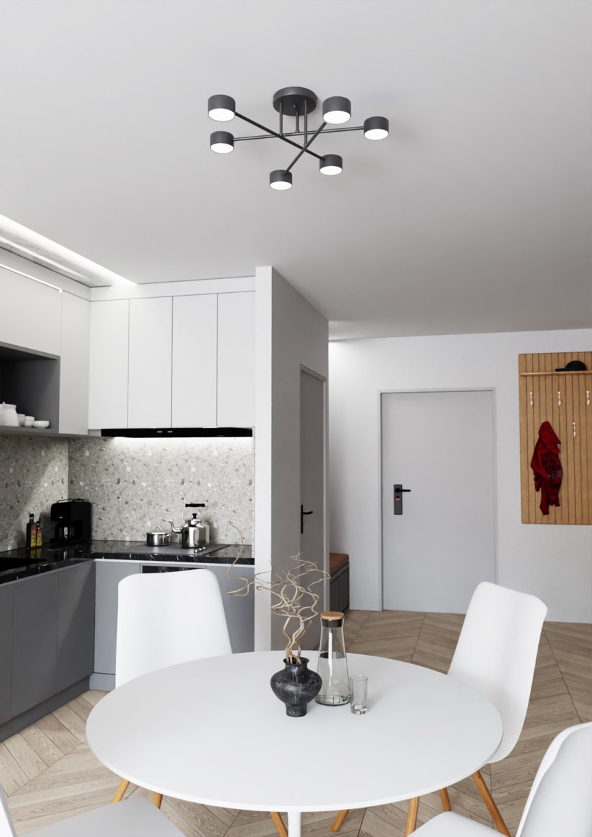 Halo Ø60 Musta plafondi valmistajalta Emibig Lighting - Halo – Tässä poikkeuksellisessa valaistuksessa on moderni ja minimalistinen muotoilu.