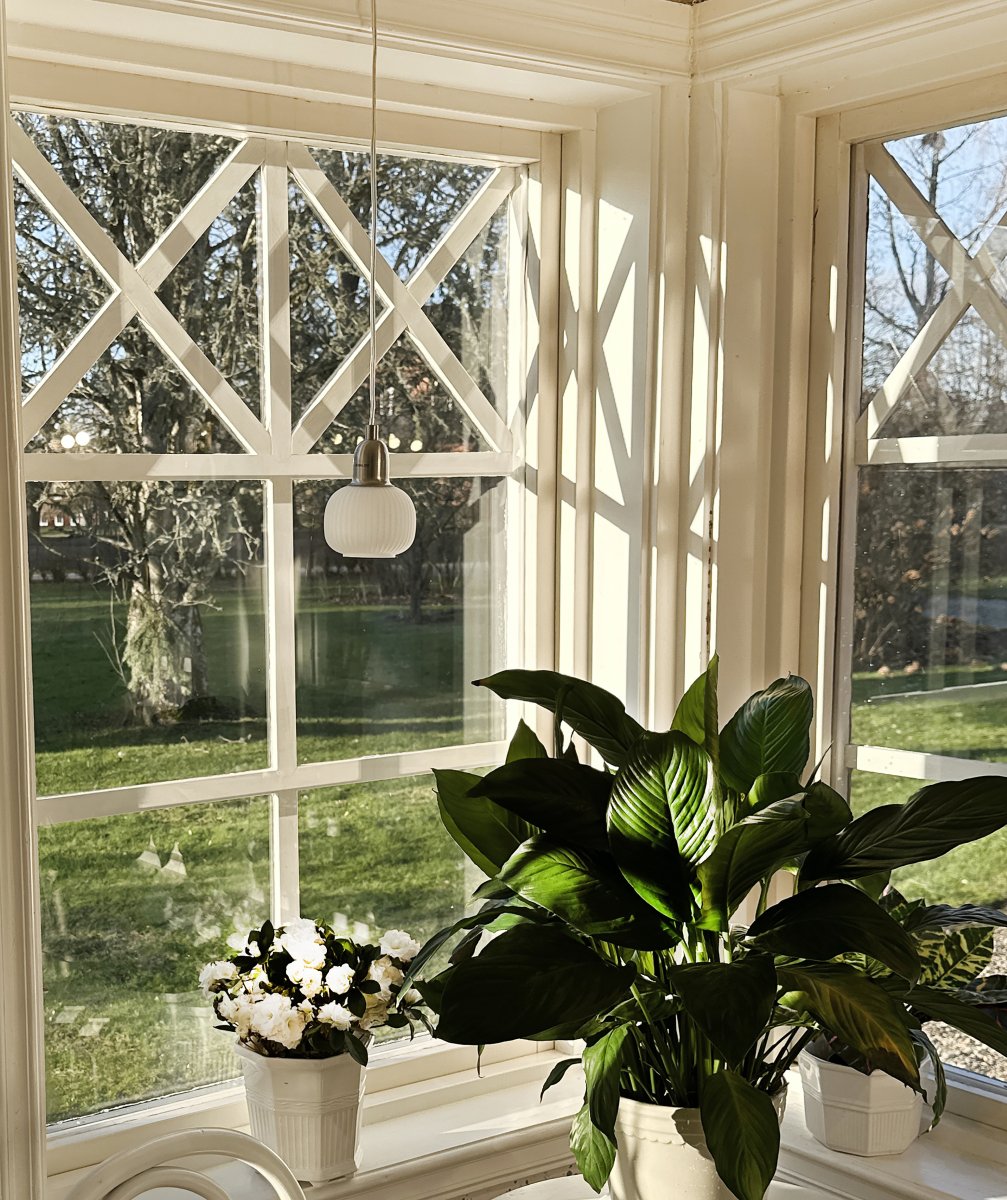 Elin Ø10 Teräs ikkunavalaisin valmistajalta Aneta Lighting - 