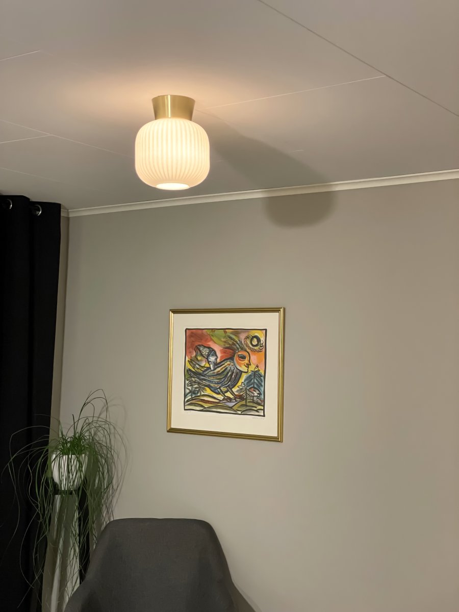 Vanja Ø20 Messinki/valkoinen plafondi valmistajalta Aneta Lighting - Vanja on pieni ja elegantti kattovalaisin, joka sopii täydellisesti pienempiin tiloihin, kuten käytäviin, keittiöihin tai makuuhuoneisiin.