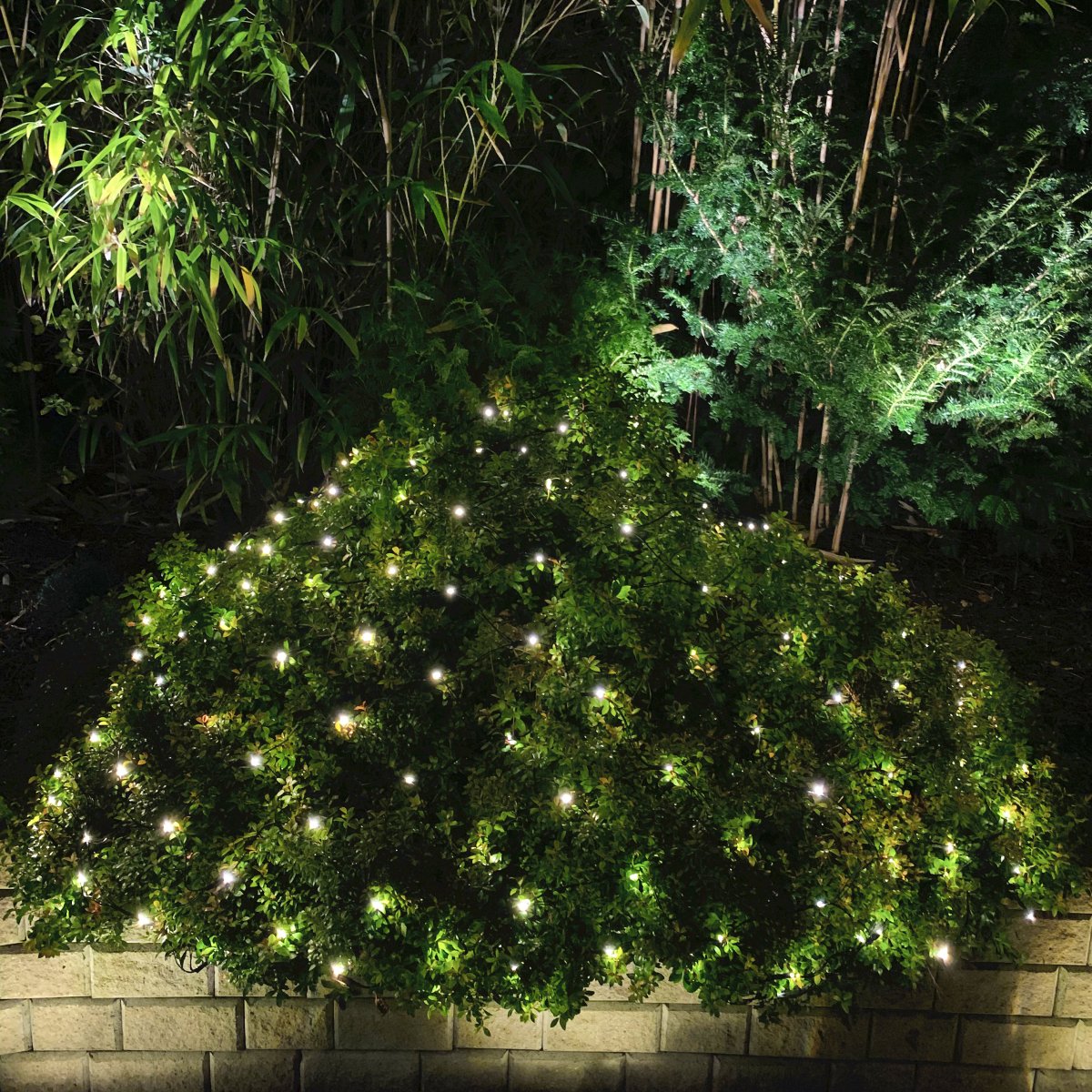 Net Tummanvihreä valmistajalta Lightson - Sis&auml;lt&auml;&auml;: lampun 2x1,5 metri&auml; (+3 metri&auml; kaapelia) ja AC/DC-muuntimen, joka on sijoitettu (ensimm&auml;isen) silmukan eteen.