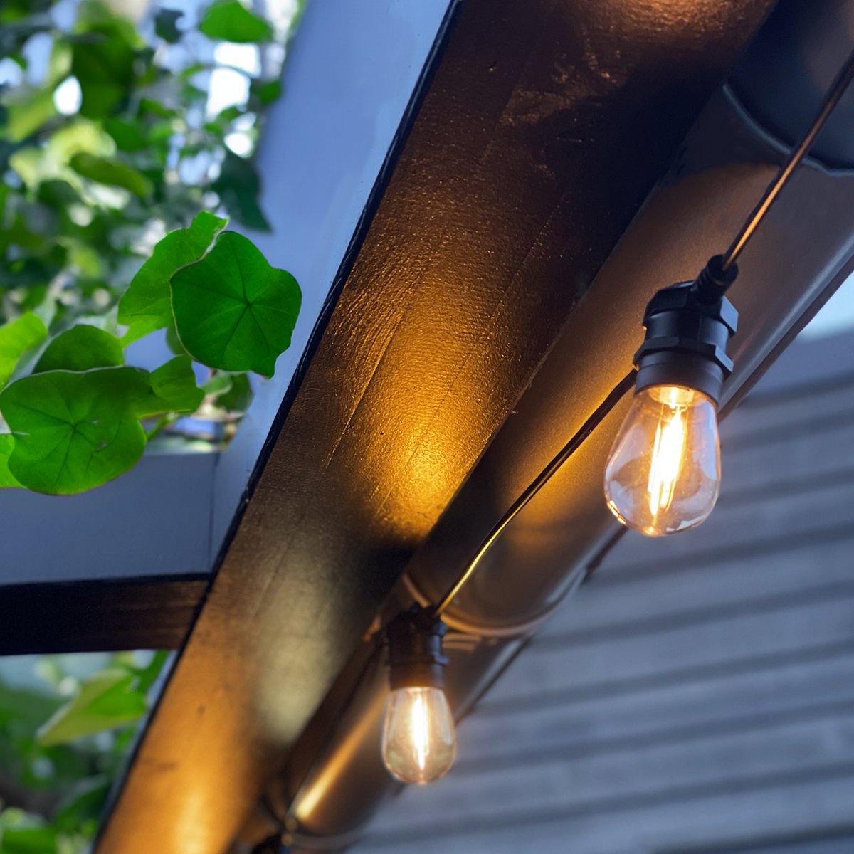 Cozy Start 5m Musta valmistajalta Lightson - Silmukka on 5 m pitk&auml; ja varustettu 10 vaihdettavalla valonl&auml;hteell&auml; + 5 m liit&auml;nt&auml;kaapelilla ja muuntajalla Suuremmille alueille voit liitt&auml;&auml; jopa 6 silmukkaa ja luoda vaikuttavan valaistusj&auml;rjestelyn kokonaispituudella; koko 30m.