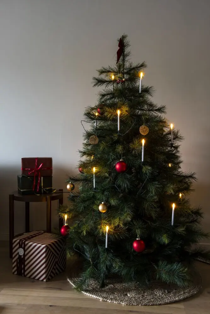 Kuusen Valosarja Amber 25LED 22m Vihreä valmistajalta Konstsmide - Joulupuuvalaisin sis&auml;k&auml;ytt&ouml;&ouml;n 25 meripihkan v&auml;risell&auml; LED-valolla ja kauniilla tuiketehosteilla, jotka luovat el&auml;v&auml;n hehkun.
