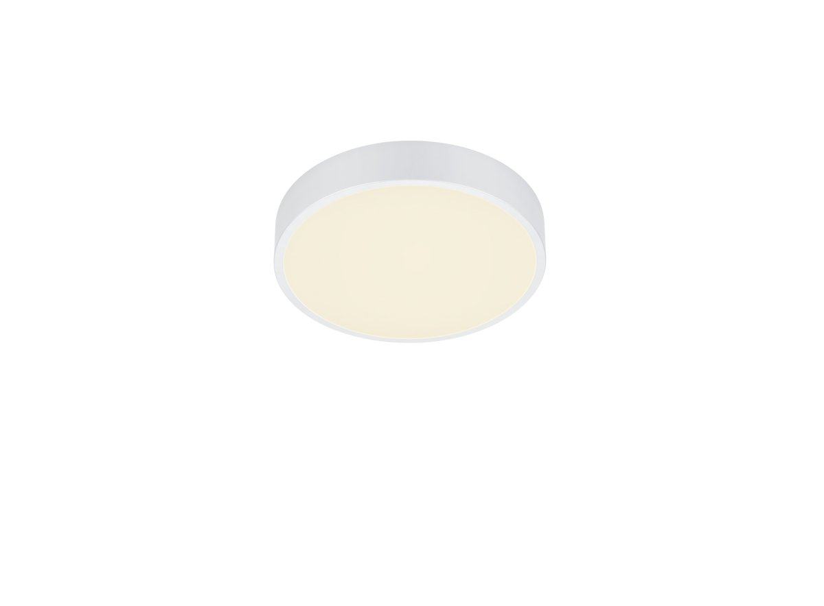 Waco Ø30 Valkoinen plafondi valmistajalta Trio Lighting - 