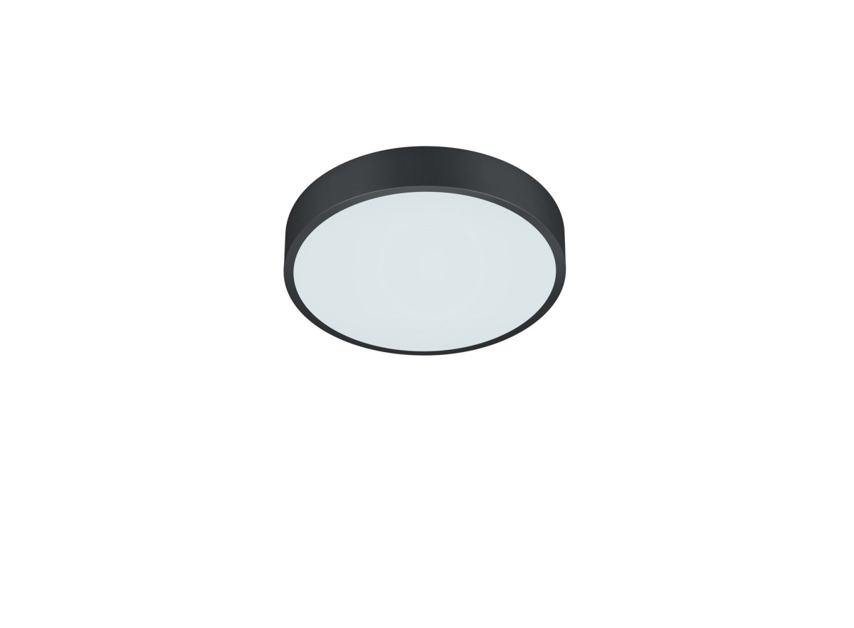 Waco Ø30 Musta plafondi valmistajalta Trio Lighting - 