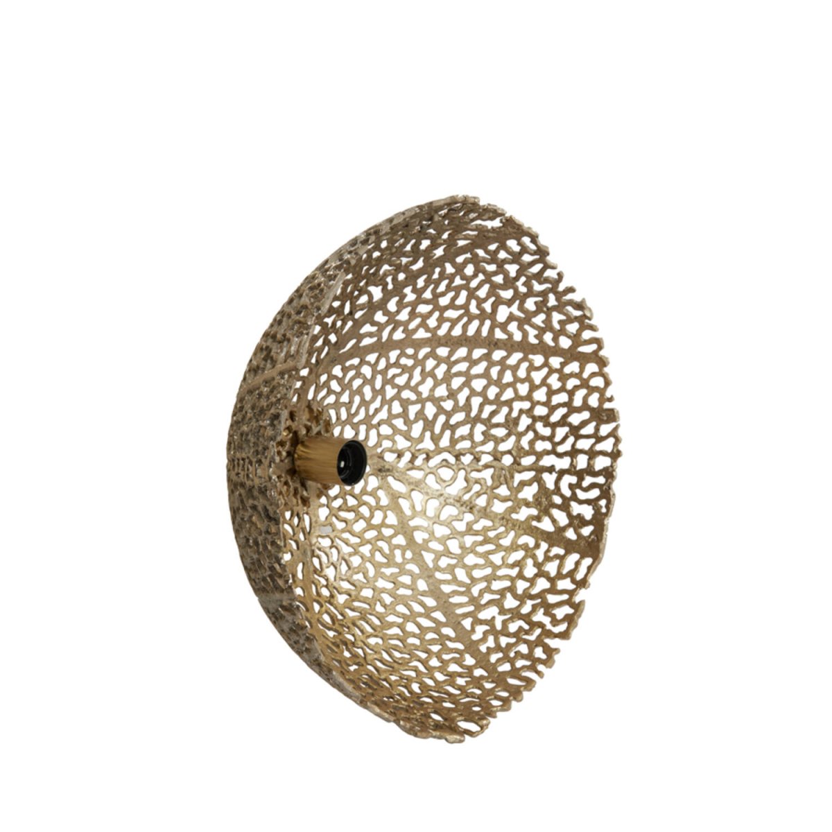 Sinula Ø45 Kulta seinävalaisin valmistajalta Light & Living - 