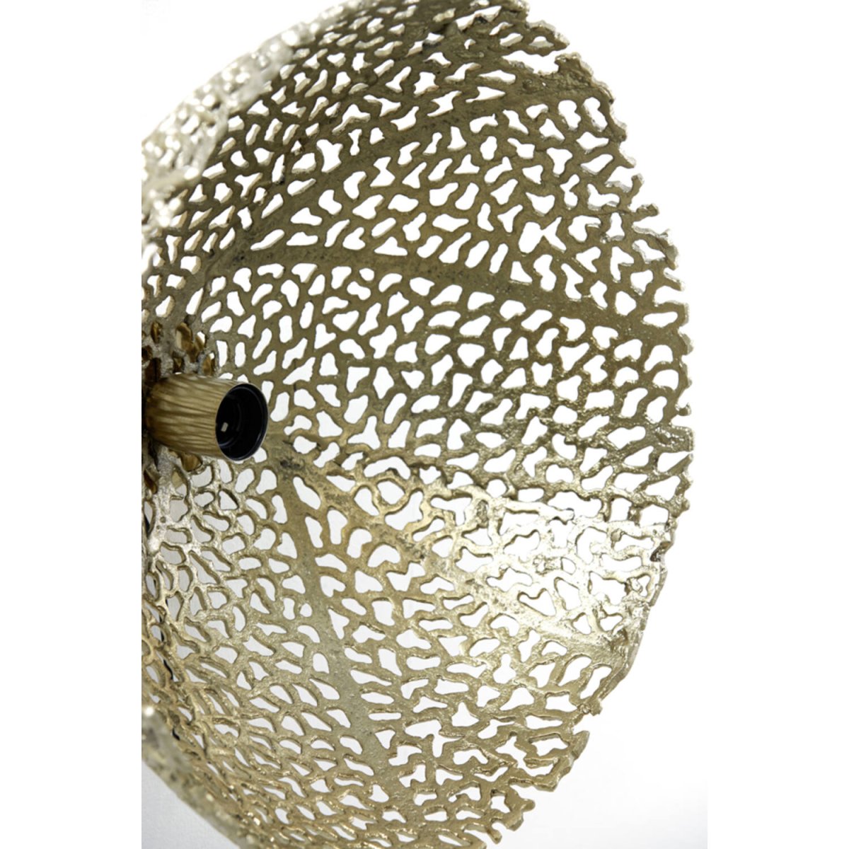 Sinula Ø45 Kulta seinävalaisin valmistajalta Light & Living - 