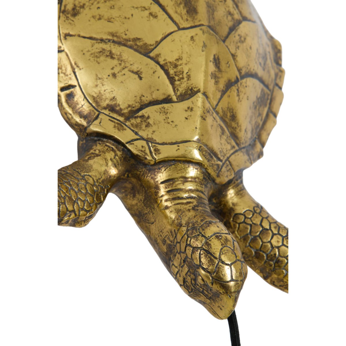 Turtle 20cm Pronssi seinävalaisin valmistajalta Light & Living - 