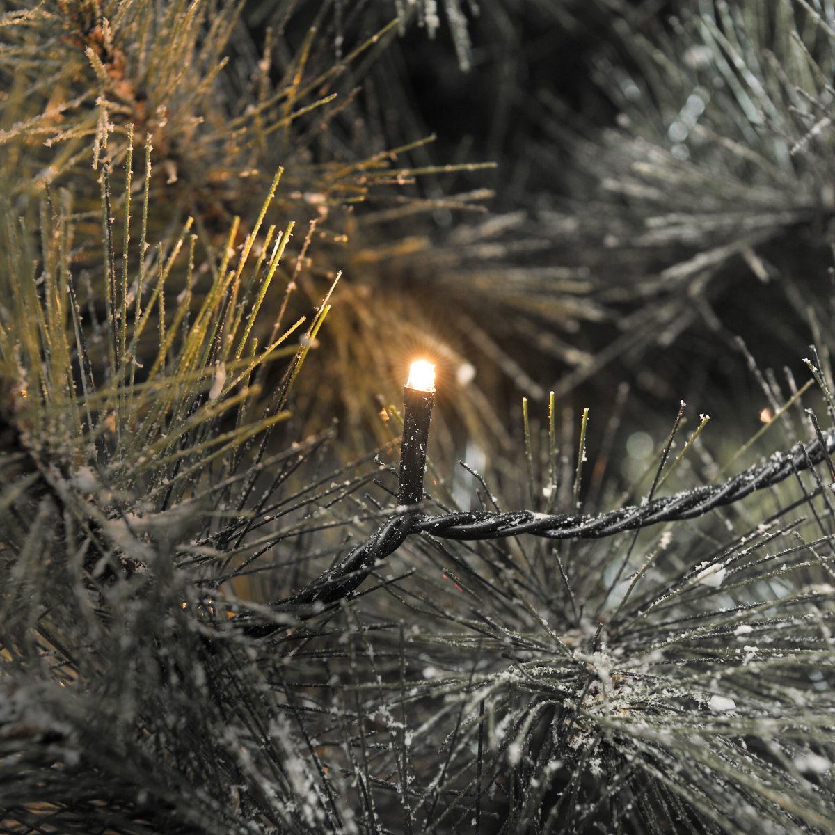 Valosarja 100 LED meripihka 15m Vihreä valmistajalta Konstsmide - Valot tuottavat noin 5 lumenia kukin ja ne on sijoitettu 10 cm:n välein 10 metriä pitkän sarjan varrelle.