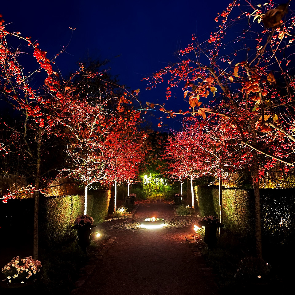 Arcus Musta valmistajalta Lightson - Valittavana on 16 miljoonaa v&auml;ri&auml;; Mahdollisuudet ovat rajattomat yhdistetyille yksitt&auml;isille puille ja t&auml;ydelliseen tunnelmaan arkeen ja juhliin lounge-ymp&auml;rist&ouml;ss&auml;.