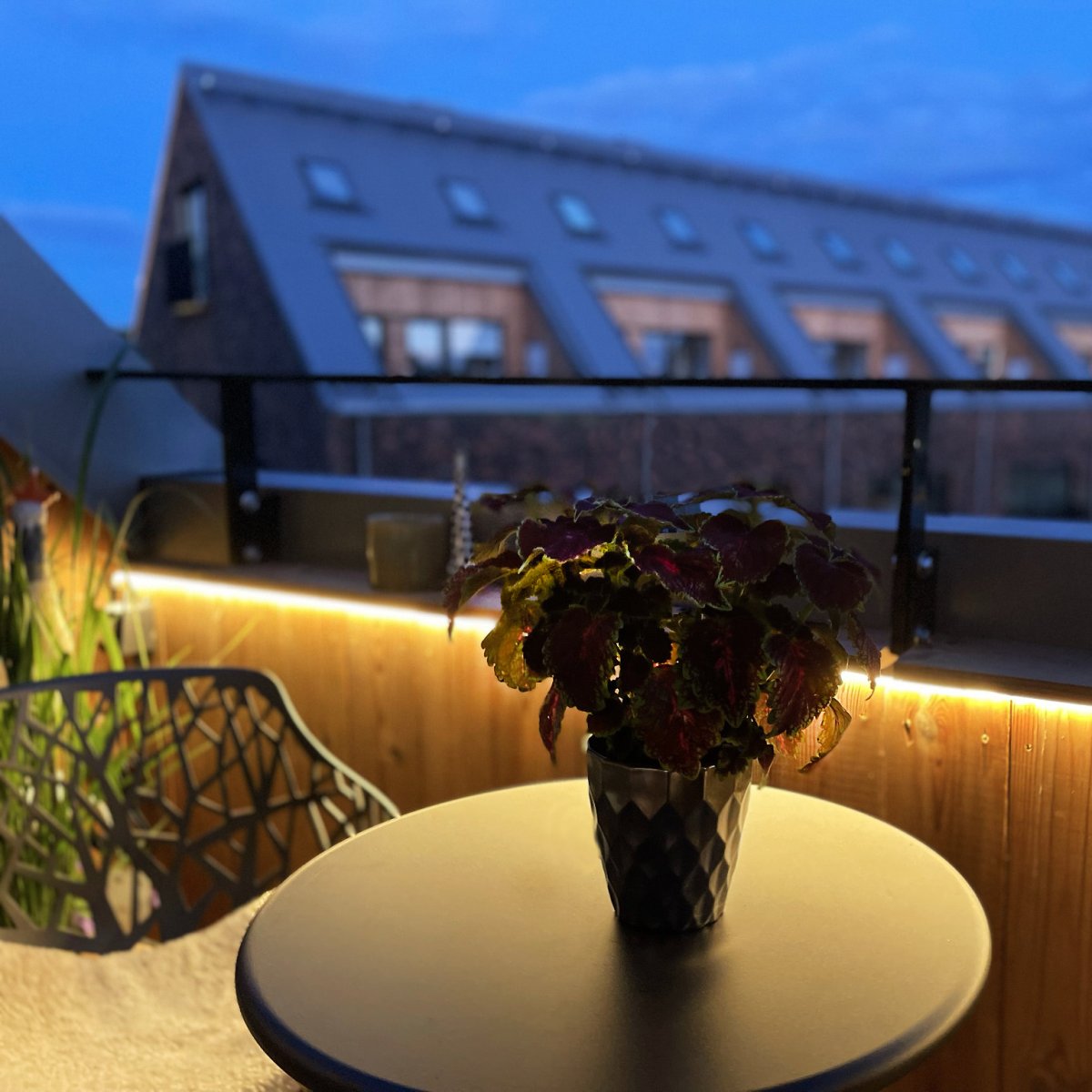 Strip (5m) Valkoinen valmistajalta Lightson - Nauha on varustettu itsekantavalla teipillä ja se sisältää 15 pidikettä ja ruuvia sen kiinnittämiseksi esimerkiksi aitaan tai portaisiin.