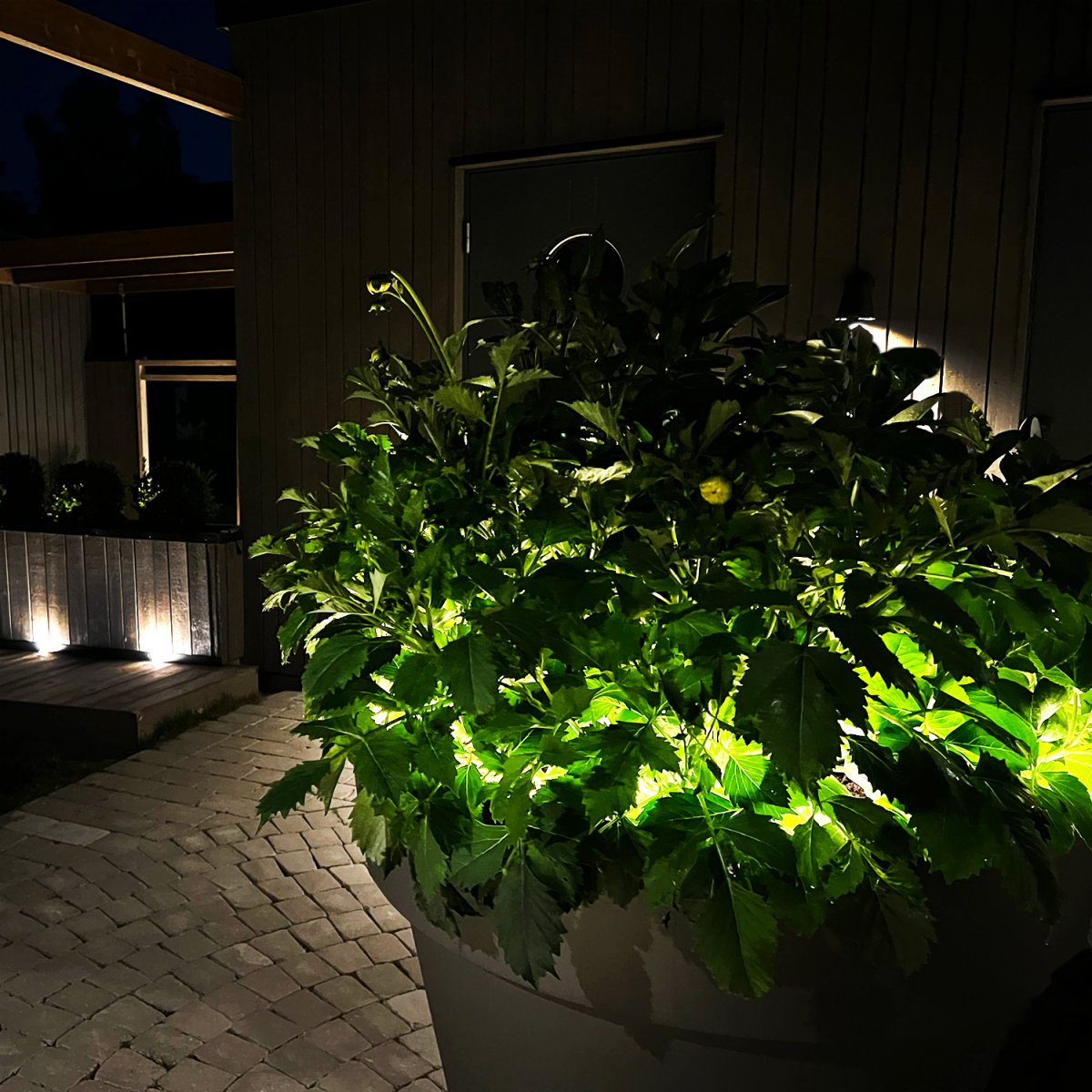 Strip (5m) Valkoinen valmistajalta Lightson - Nauha on varustettu itsekantavalla teipillä ja se sisältää 15 pidikettä ja ruuvia sen kiinnittämiseksi esimerkiksi aitaan tai portaisiin.