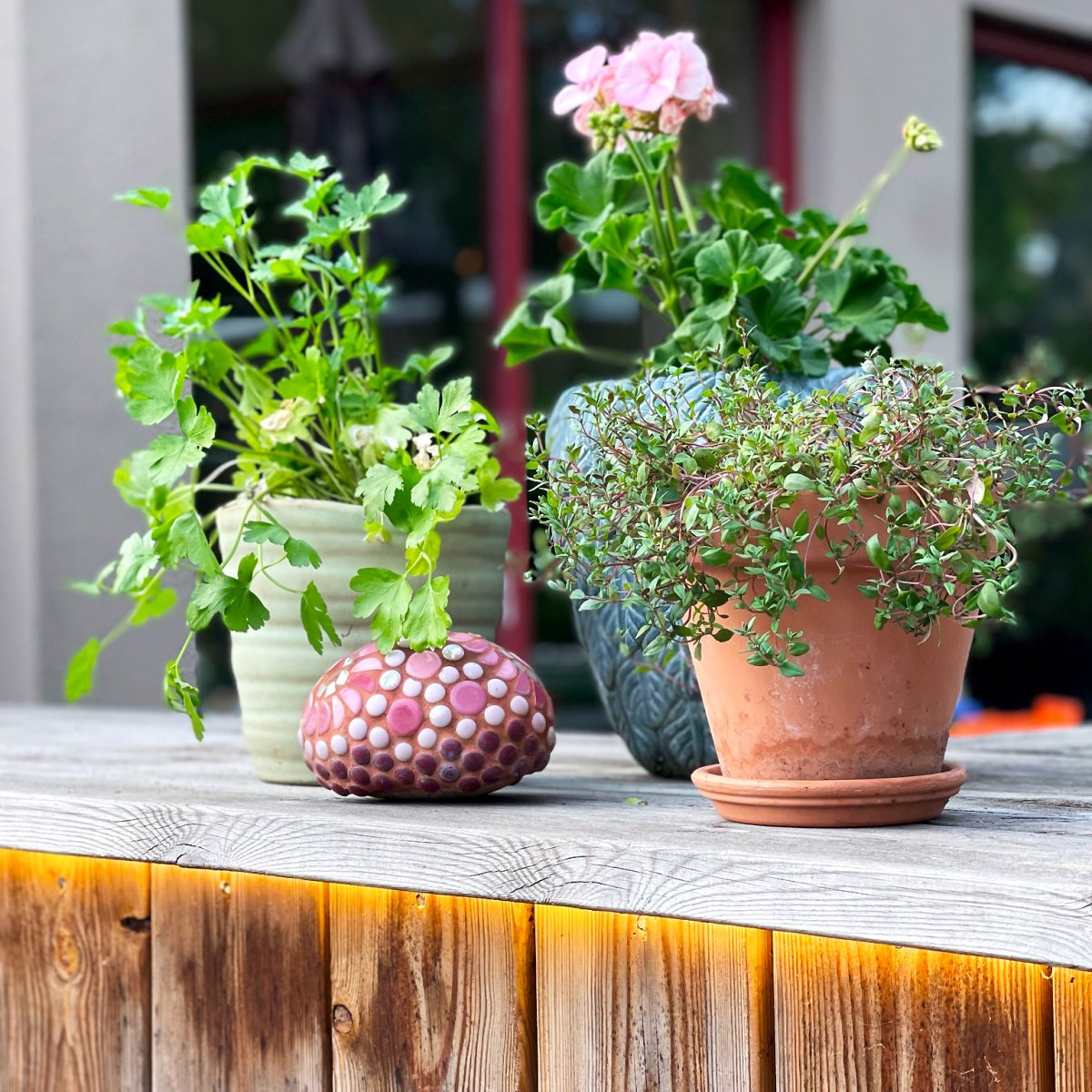 Strip (5m) Valkoinen valmistajalta Lightson - Nauha on varustettu itsekantavalla teipillä ja se sisältää 15 pidikettä ja ruuvia sen kiinnittämiseksi esimerkiksi aitaan tai portaisiin.