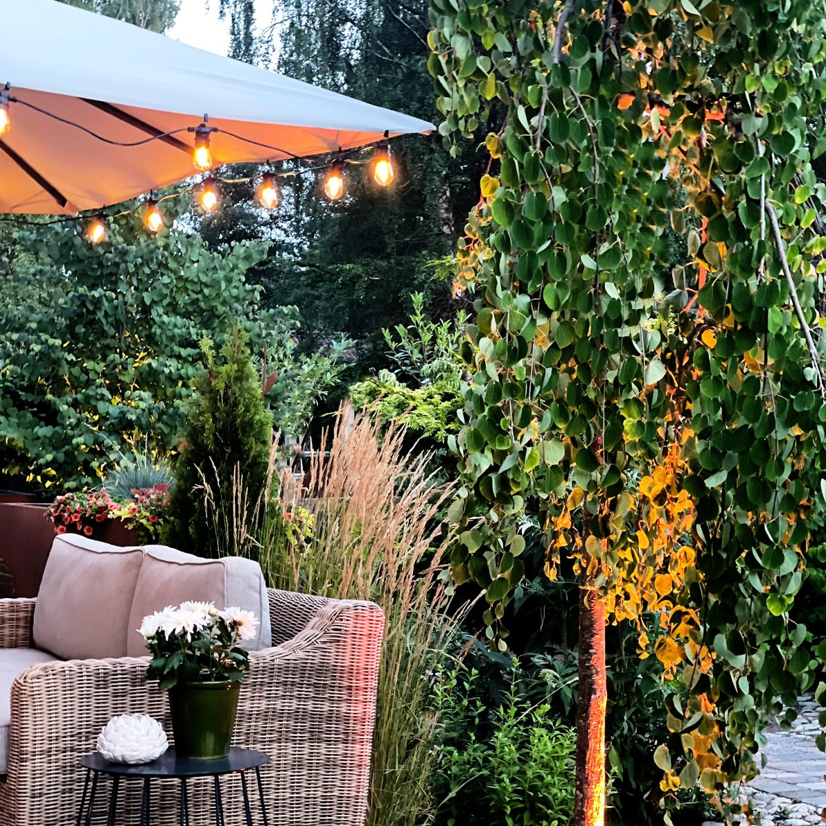 Cozy Start 5m Musta valmistajalta Lightson - Silmukka on 5 m pitk&auml; ja varustettu 10 vaihdettavalla valonl&auml;hteell&auml; + 5 m liit&auml;nt&auml;kaapelilla ja muuntajalla Suuremmille alueille voit liitt&auml;&auml; jopa 6 silmukkaa ja luoda vaikuttavan valaistusj&auml;rjestelyn kokonaispituudella; koko 30m.