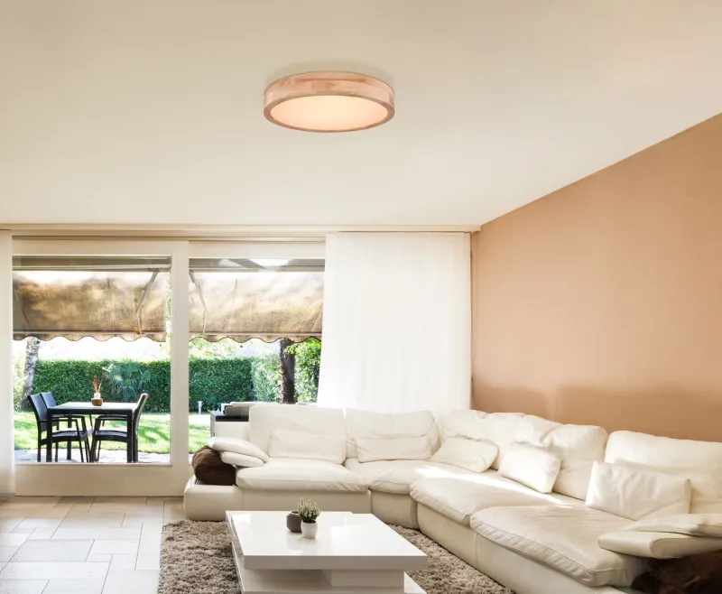 Rainer Ø40 Luonto plafondi valmistajalta Globo Lighting - Lampan har &auml;ven en f&auml;rgv&auml;xlingsfunktion med m&ouml;jlighet att fixera en vald f&auml;rg, vilket g&ouml;r den b&aring;de flexibel och funktionell.