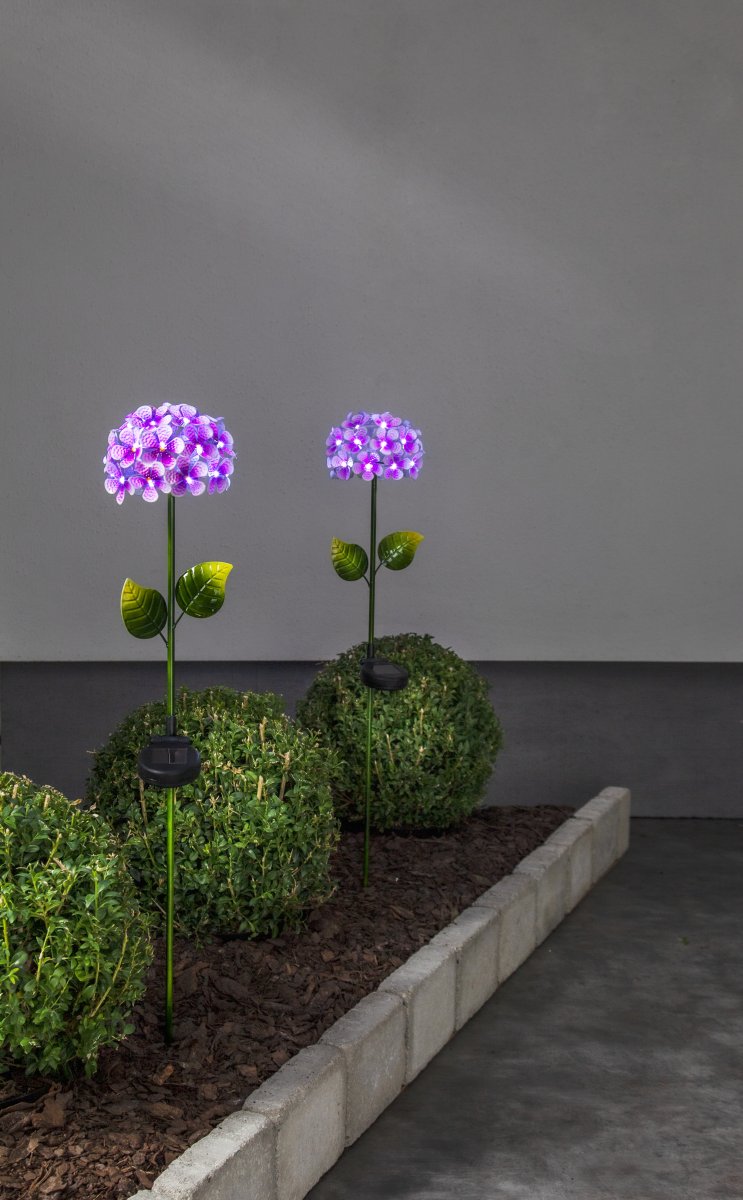 Hortensia Vaaleanpunainen aurinkokennolamppu valmistajalta Star Trading - Pienet kastepisaroiden muotoiset valopisteet valaisevat kukan viile&auml;ll&auml; valkoisella hehkulla ja luovat tunnelmallisen vaikutelman illalla.