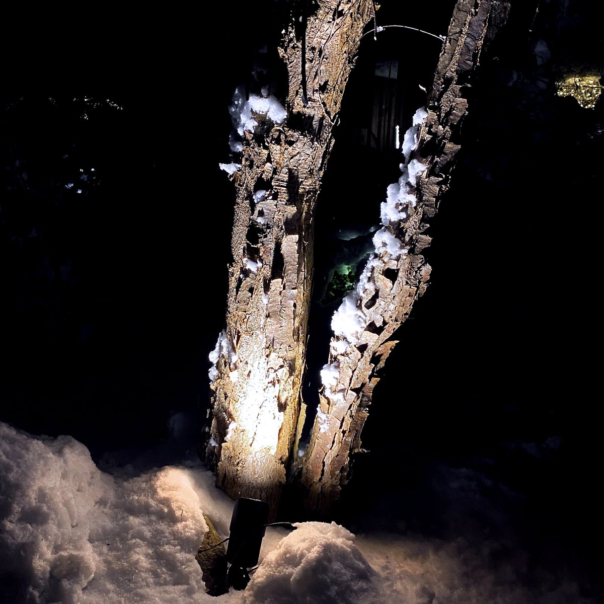 Medusa Musta valmistajalta Lightson - Medusa on voimakas maapiste, jossa on laaja valonjako ja joka sopii keskikokoisille ja suurille puille.