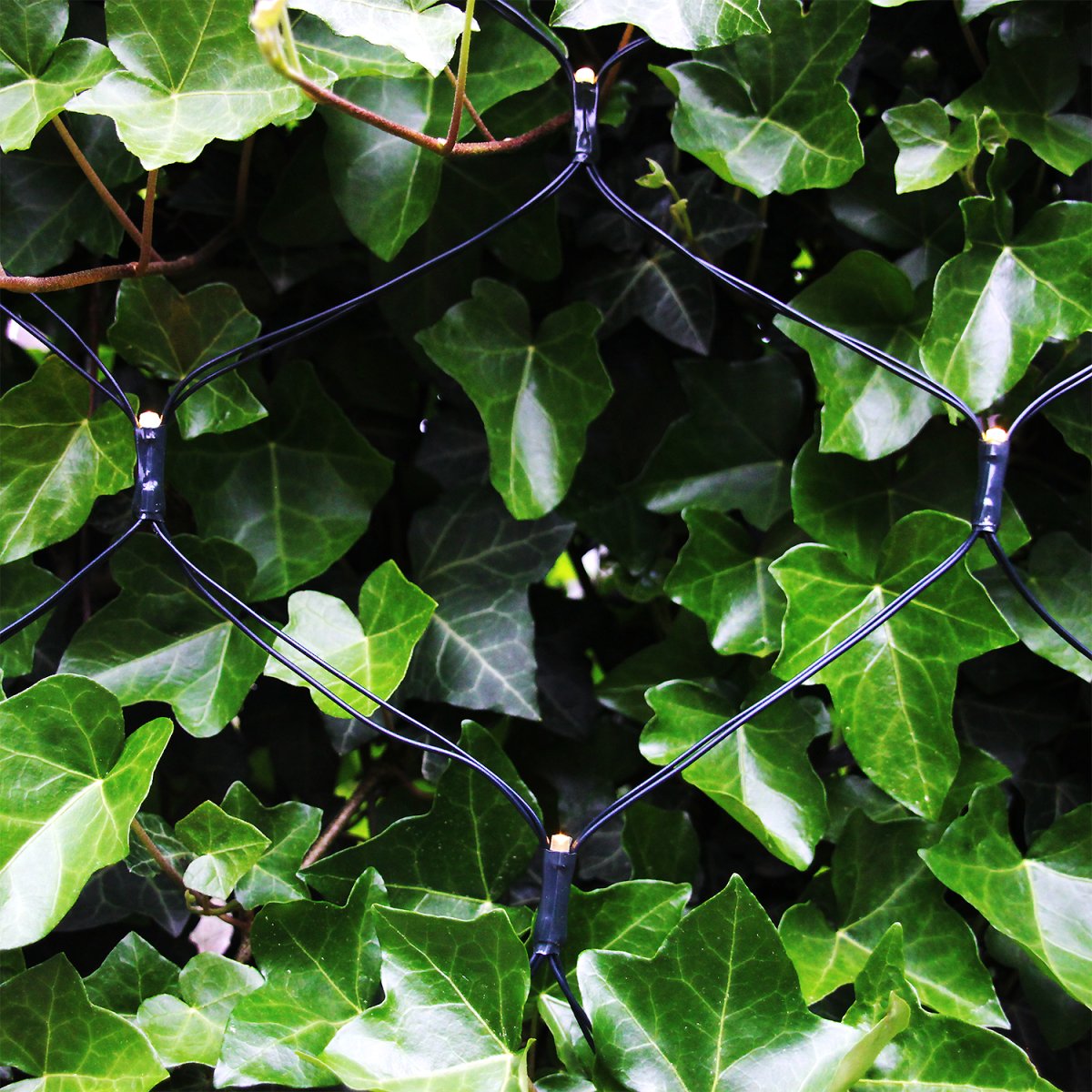 Net Tummanvihreä valmistajalta Lightson - Sis&auml;lt&auml;&auml;: lampun 2x1,5 metri&auml; (+3 metri&auml; kaapelia) ja AC/DC-muuntimen, joka on sijoitettu (ensimm&auml;isen) silmukan eteen.