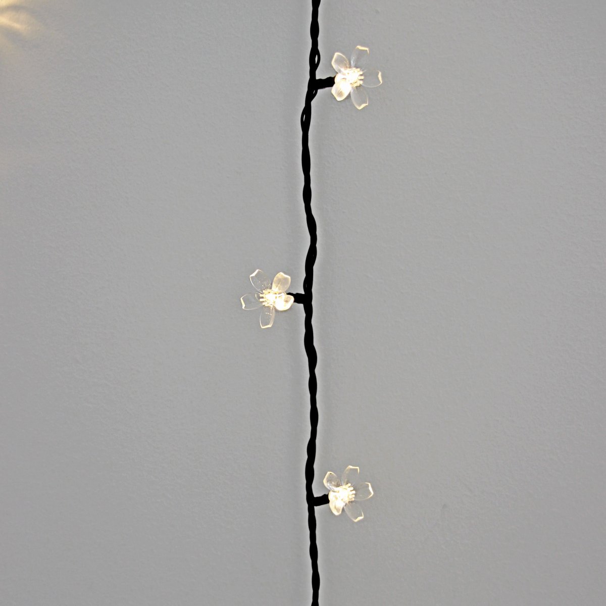 Bloom Musta valmistajalta Lightson - Bloom on osa Garden Plug &amp; Toista LightsOnista.