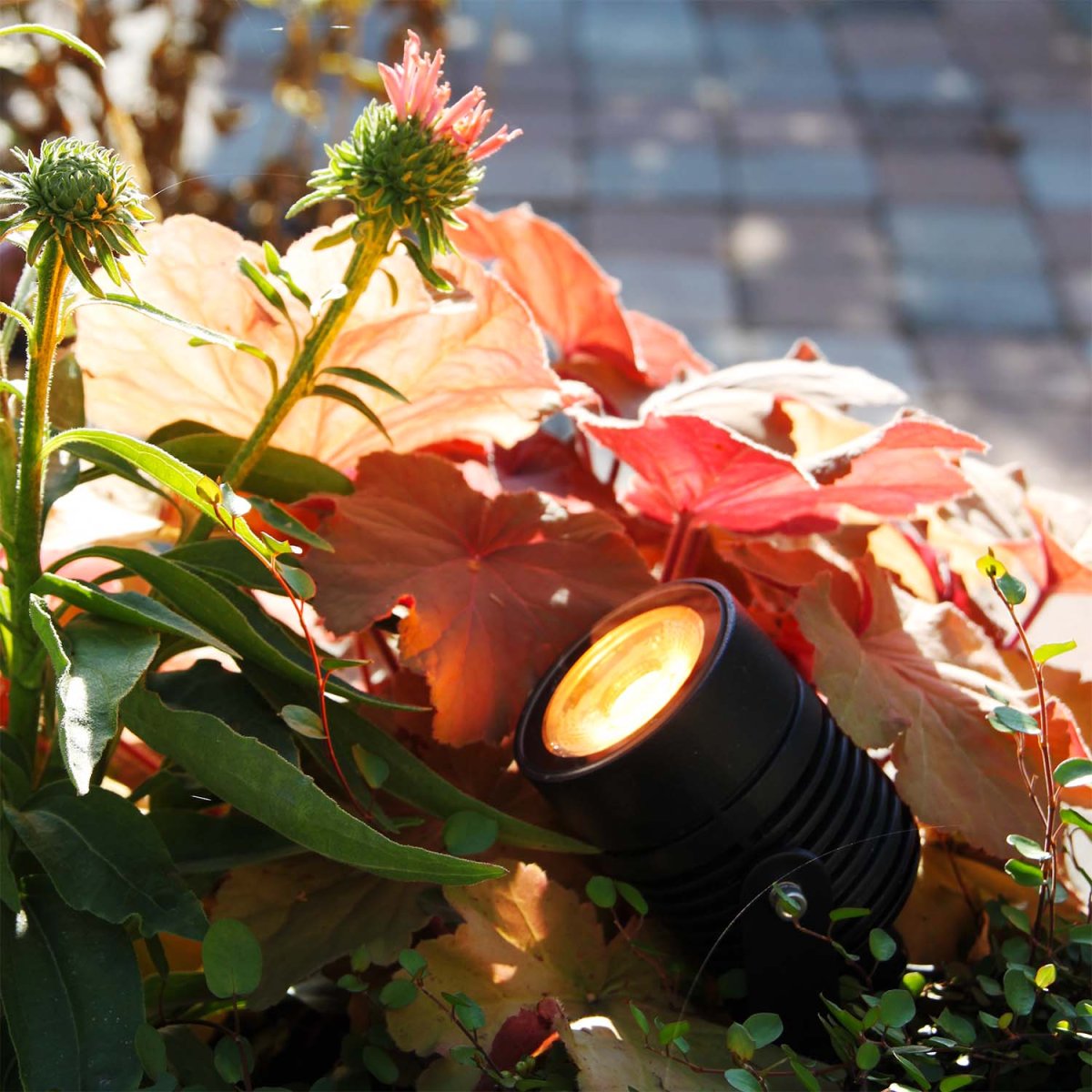 Arcus Musta valmistajalta Lightson - Valittavana on 16 miljoonaa v&auml;ri&auml;; Mahdollisuudet ovat rajattomat yhdistetyille yksitt&auml;isille puille ja t&auml;ydelliseen tunnelmaan arkeen ja juhliin lounge-ymp&auml;rist&ouml;ss&auml;.