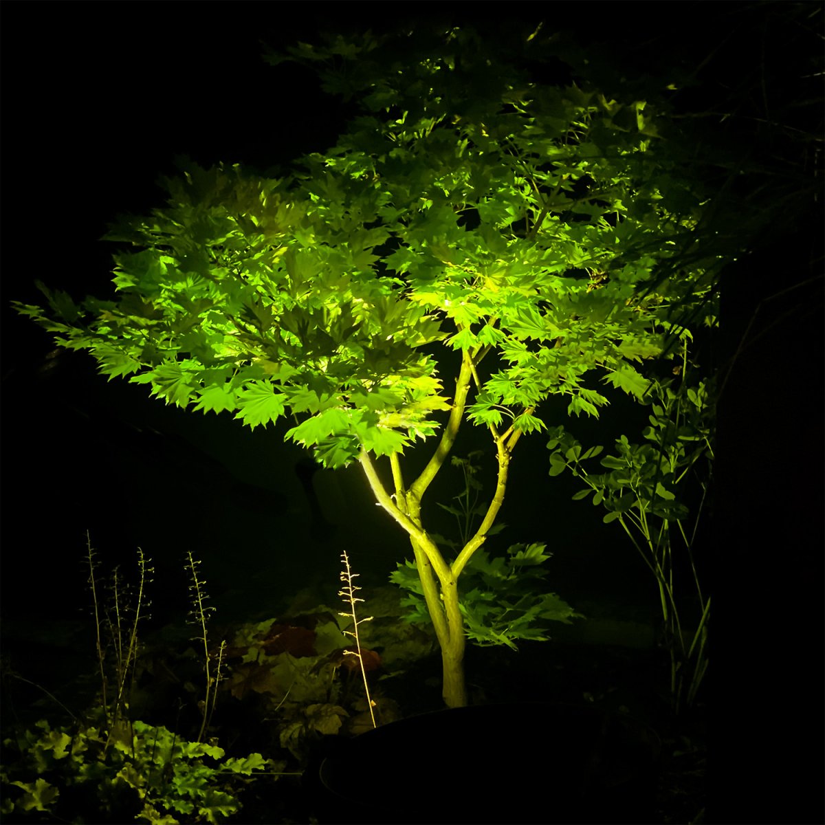 Arcus Musta valmistajalta Lightson - Valittavana on 16 miljoonaa v&auml;ri&auml;; Mahdollisuudet ovat rajattomat yhdistetyille yksitt&auml;isille puille ja t&auml;ydelliseen tunnelmaan arkeen ja juhliin lounge-ymp&auml;rist&ouml;ss&auml;.