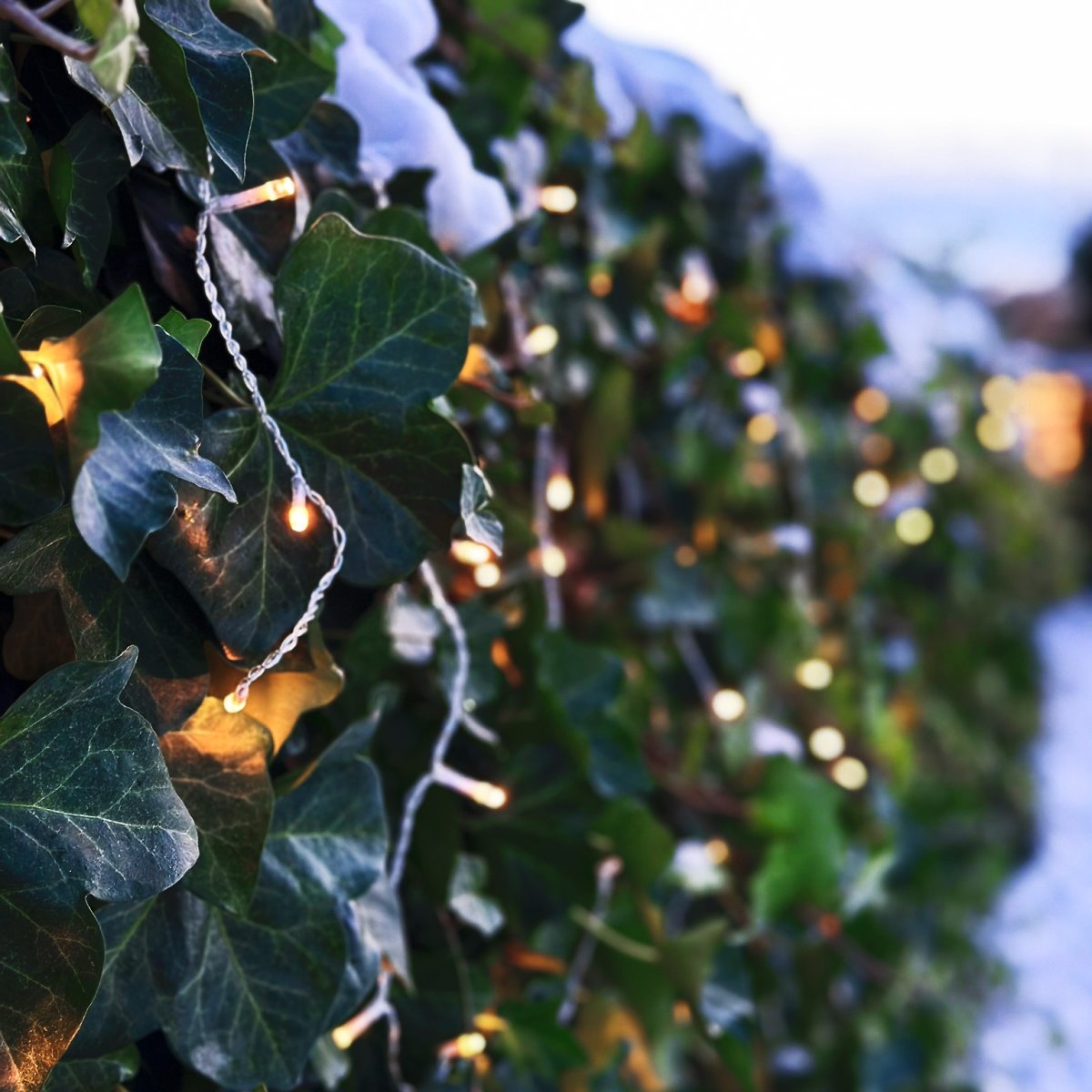 Ice Läpinäkyvä valmistajalta Lightson - Joustava ja edullinen 12 voltin j&auml;rjestelm&auml; (turvallinen heikkovirta) puutarhaasi, jonka voit helposti asentaa itse ja jonka voit my&ouml;hemmin rakentaa, halutessasi jopa 50 metriin.