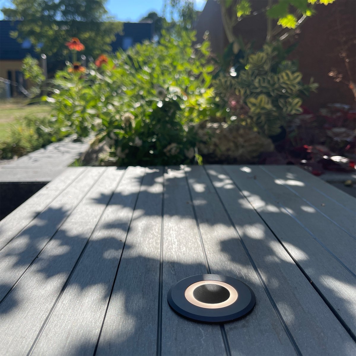 Lynx Tumman harmaa valmistajalta Lightson - Tummanharmaa Lynx on kaunis kaikissa ympäristöissä ja ehkä hieman erityisen näyttävä, jos sinulla on harmaat hiukset.