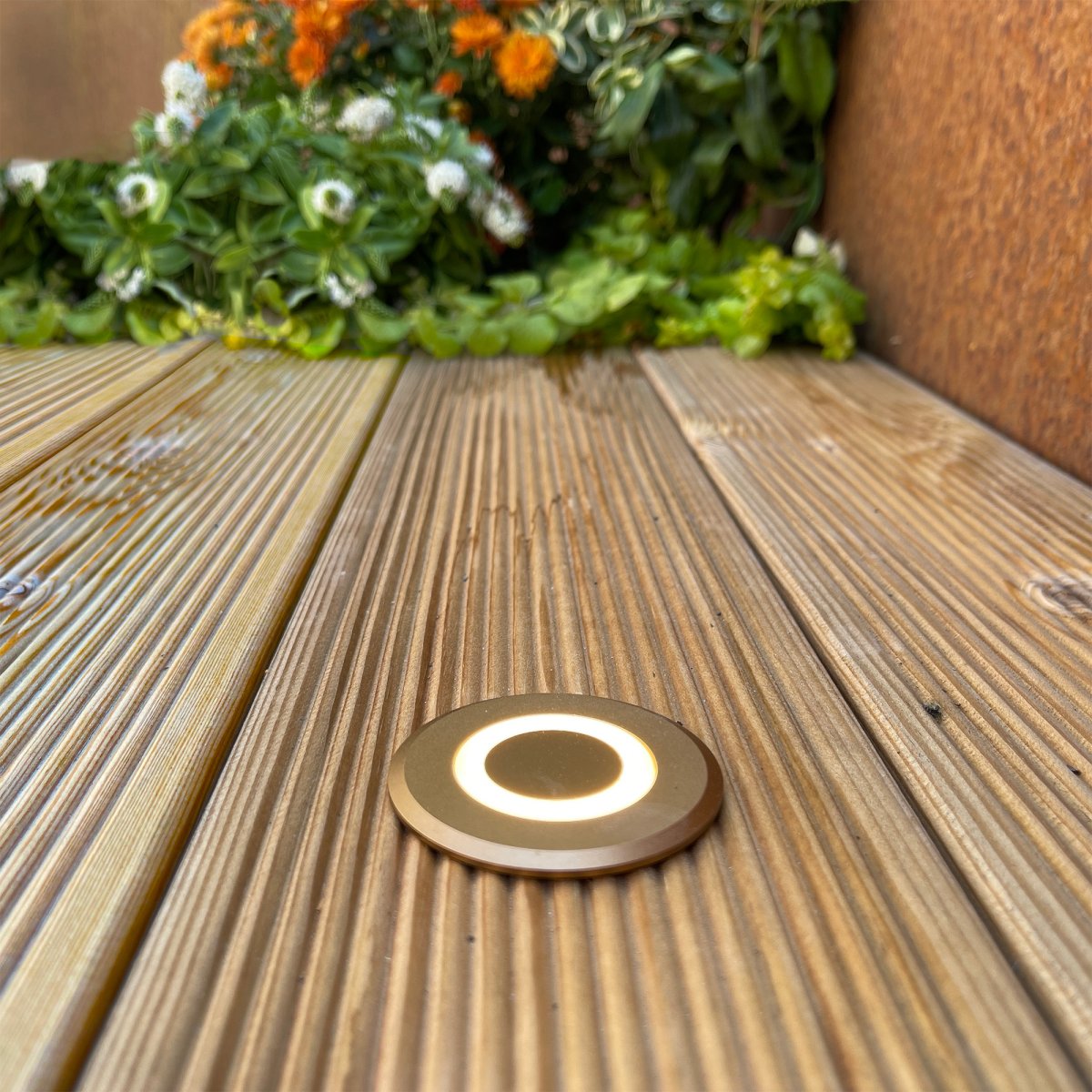 Lynx Pronssi valmistajalta Lightson - Pronssinv&auml;rinen Lynx on kaunis kaikissa ymp&auml;rist&ouml;iss&auml; ja ehk&auml; hieman erityisen n&auml;ytt&auml;v&auml;, jos puutarhassasi on Corten-ter&auml;ksisi&auml; yksityiskohtia.