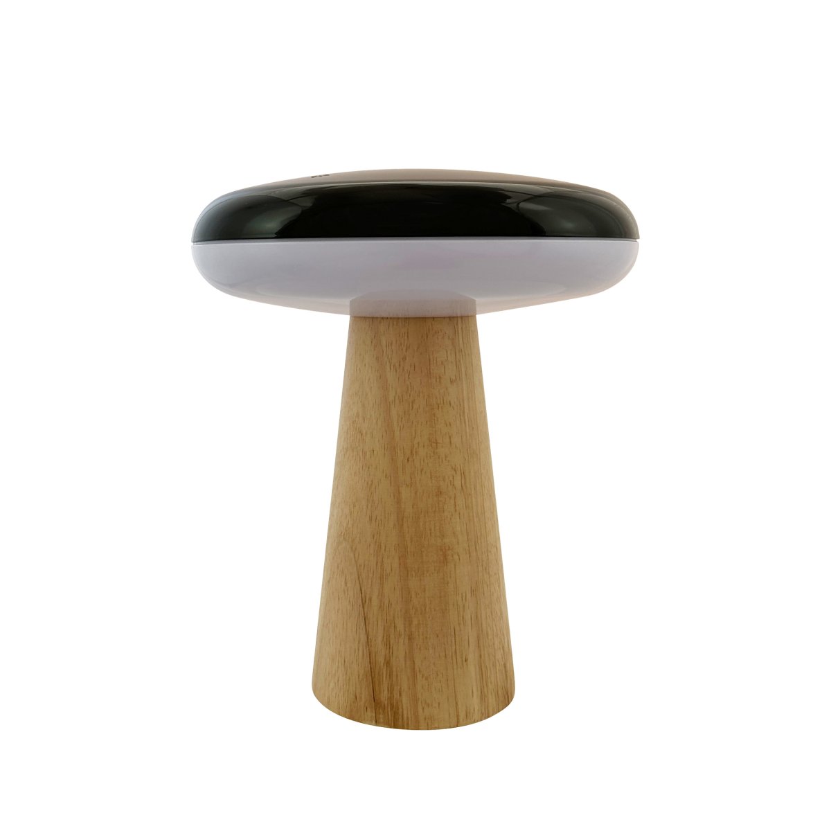 2 Ways 25cm Puu Siirrettävä valmistajalta Dyberg Larsen - Dyberg Larsenin ladattava LED-pöytävalaisin 2 Ways on tyylikäs ja monipuolinen valonlähde, jossa yhdistyvät tyyli ja toimivuus kotonasi.