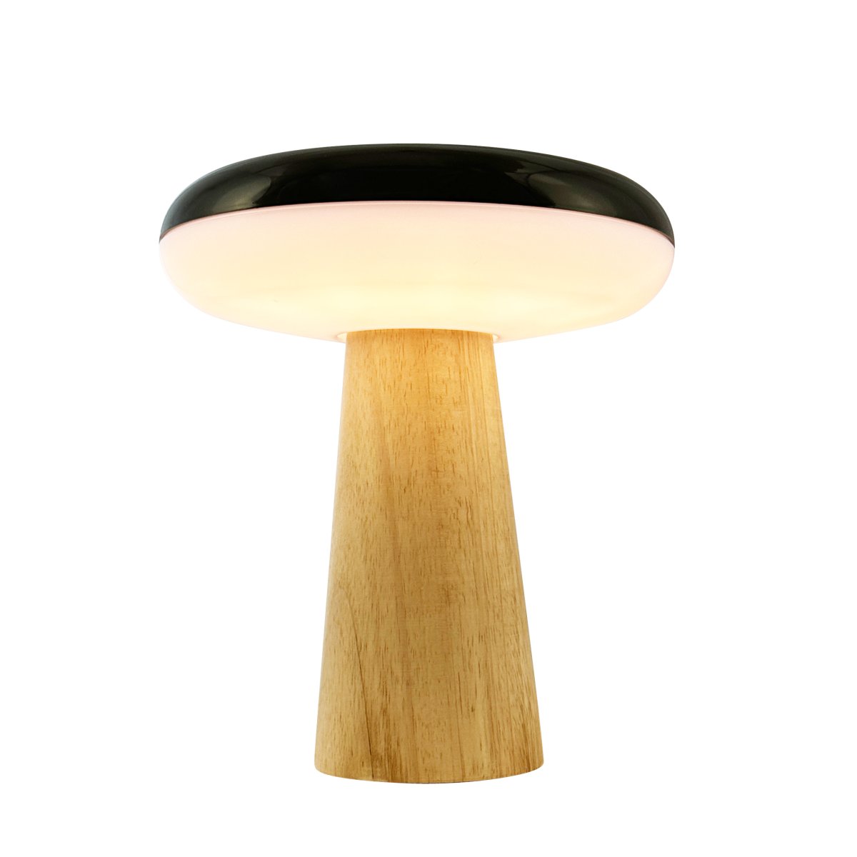 2 Ways 25cm Puu Siirrettävä valmistajalta Dyberg Larsen - Dyberg Larsenin ladattava LED-pöytävalaisin 2 Ways on tyylikäs ja monipuolinen valonlähde, jossa yhdistyvät tyyli ja toimivuus kotonasi.