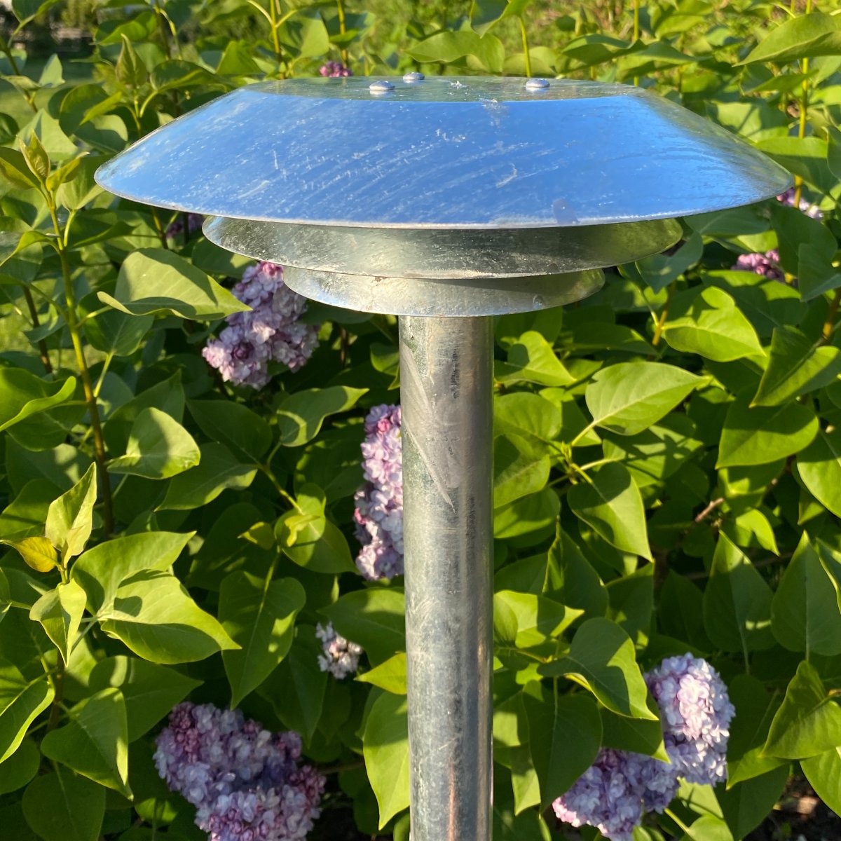 DL25 Galvanoitu pylväsvalaisimet valmistajalta Dyberg Larsen - Toimivuuden ja kestävyyden yhdistelmällä tämä lamppu on suunniteltu kestämään ulkoilmaa ja tarjoamaan luotettavaa valoa.