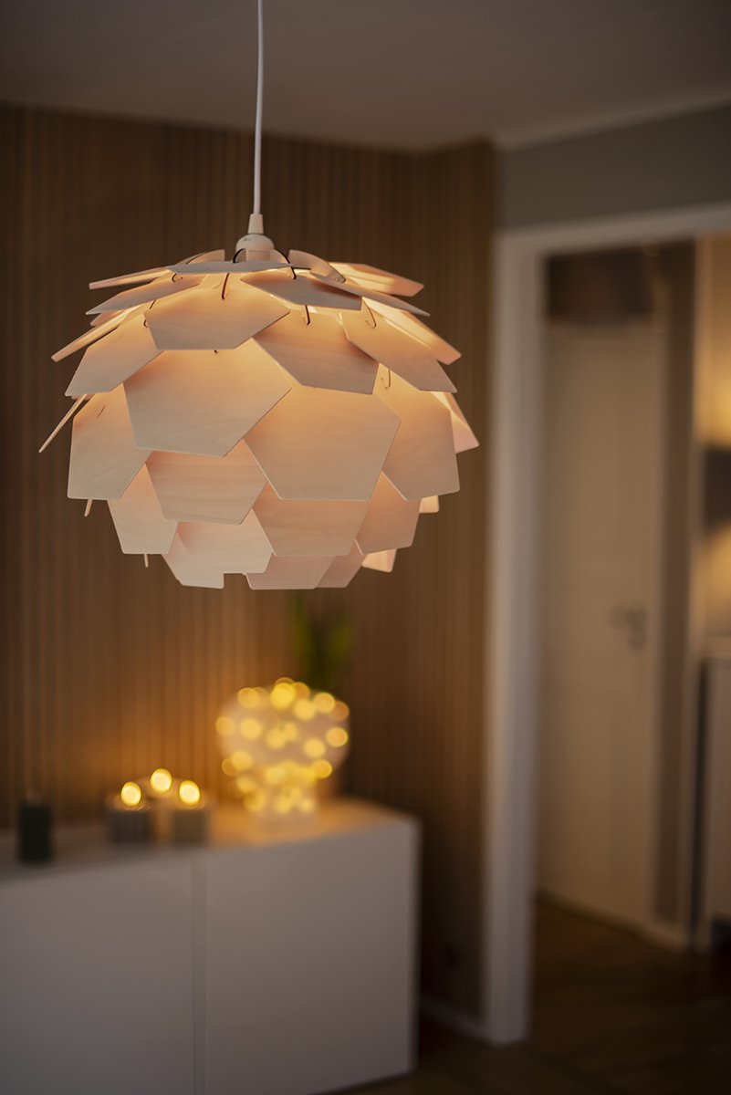 Carpatica Ø40 Luonto kattovalaisin valmistajalta Aneta Lighting - Kattokuppi on valkoista muovia koukkuripustetta varten ja riviliittimellä.