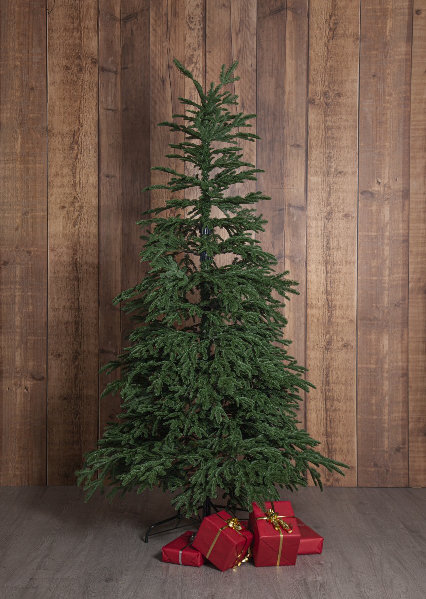 Edane 210cm Vihreä valmistajalta Star Trading - Edane on aito keinotekoinen puu, jonka korkeus on 210 cm ja hieman matalat riippuvat oksat syv&auml;n vihre&auml;ll&auml; v&auml;rill&auml;.