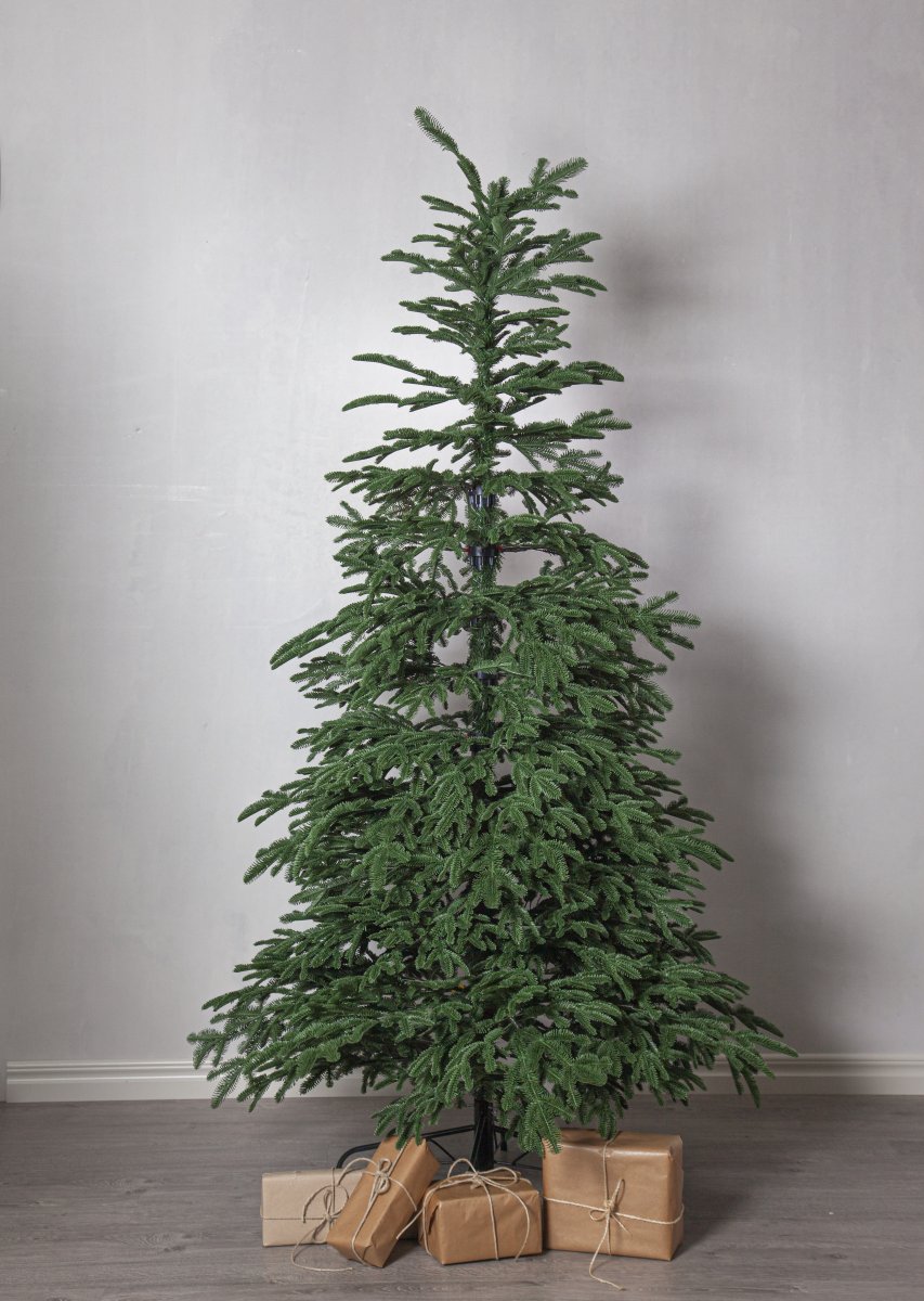 Edane 210cm Vihreä valmistajalta Star Trading - Edane on aito keinotekoinen puu, jonka korkeus on 210 cm ja hieman matalat riippuvat oksat syv&auml;n vihre&auml;ll&auml; v&auml;rill&auml;.