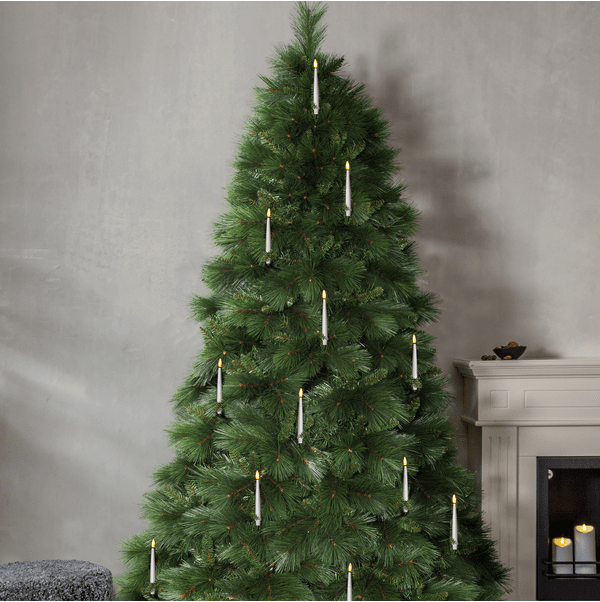 Cembra 240cm Vihreä valmistajalta Star Trading - Star Tradingin kaunis tekokuusi Cembra on A-kirjaimen muotoinen kuusi, jonka neulasten yhdistelm&auml; antaa sille tihe&auml;n ja tyylikk&auml;&auml;n ulkon&auml;&ouml;n.