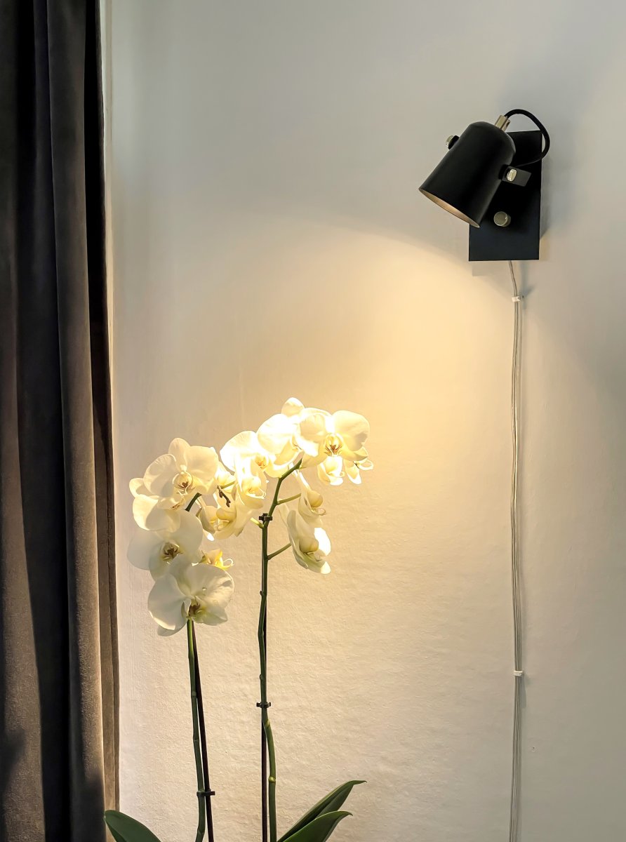 Metz Musta lukulamppu valmistajalta Aneta Lighting - Musta messinkiyksityiskohtineen ja puhtaalla muodollaan tuo klassisen vaikutelman moderniin vintageen.