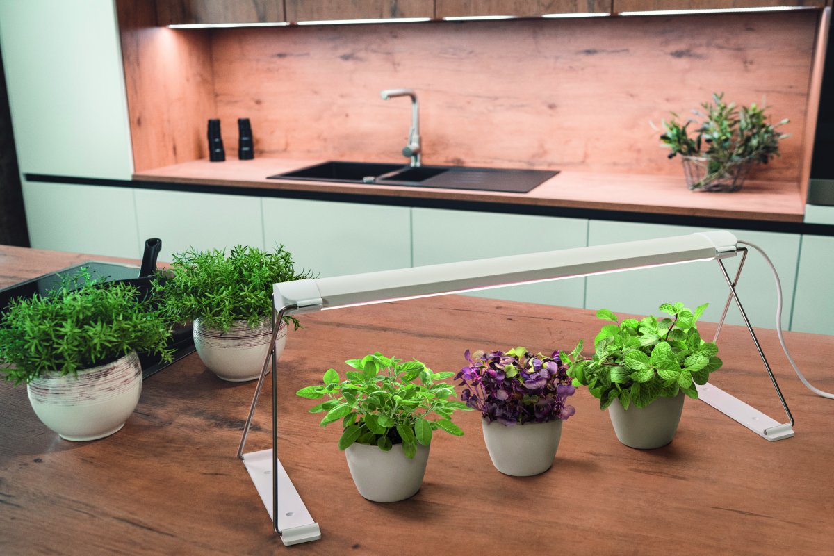 Kasvivalaisin Garden Light Stand Valkoinen valmistajalta Ledvance - Asetat kasvisi k&auml;tev&auml;sti alle ja sy&ouml;t&auml;t niit&auml; erityisesti kehitetyll&auml; valkoisten ja punaisten LEDien LED-spektrill&auml;, jotka edist&auml;v&auml;t fotosynteesi&auml; useimmissa kasveissa ja auttavat niit&auml; kasvamaan.