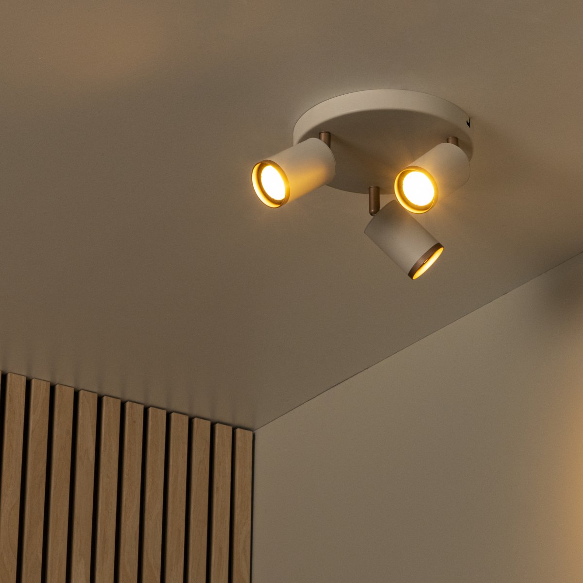 Regina 3 Ruskeanharmaa kohdevalaisin valmistajalta Lucide - Regina-kattospottivalaisin on tyylik&auml;s ja moderni valaistusratkaisu metallista, elegantilla taupe-viimeistelyll&auml; ja ruskean metallin yksityiskohdilla.